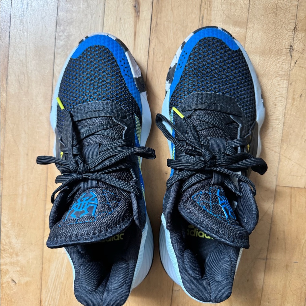 Adidas Black and Blue Sneakers